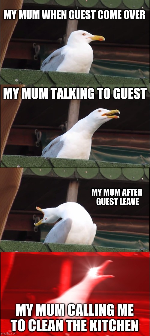 Inhaling Seagull | MY MUM WHEN GUEST COME OVER; MY MUM TALKING TO GUEST; MY MUM AFTER  GUEST LEAVE; MY MUM CALLING ME TO CLEAN THE KITCHEN | image tagged in memes,inhaling seagull | made w/ Imgflip meme maker