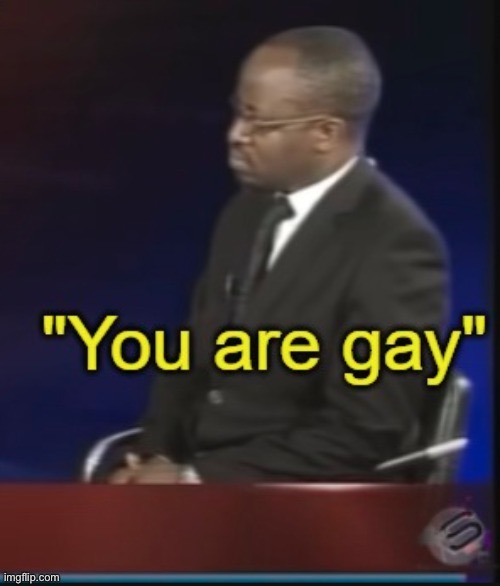 You are gay | image tagged in you are gay | made w/ Imgflip meme maker