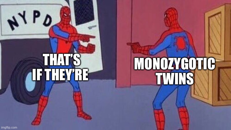 Twins are identical | THAT’S IF THEY’RE MONOZYGOTIC TWINS | image tagged in spiderman pointing at spiderman,monozygotic,twins | made w/ Imgflip meme maker