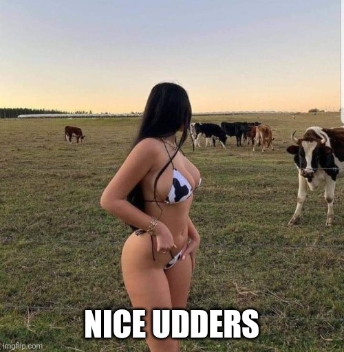 Moo! | NICE UDDERS | image tagged in boobs | made w/ Imgflip meme maker