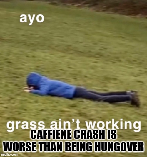 Ayo grass ain't working | CAFFIENE CRASH IS WORSE THAN BEING HUNGOVER | image tagged in ayo grass ain't working | made w/ Imgflip meme maker