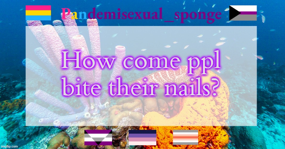 Ik some ppl that do it but idk why | How come ppl bite their nails? | image tagged in pandemisexual_sponge temp,demisexual_sponge | made w/ Imgflip meme maker