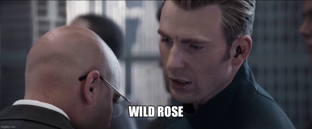 Hail hydra avengers | WILD ROSE | image tagged in hail hydra avengers | made w/ Imgflip meme maker