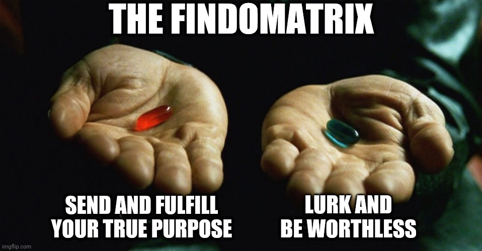The Findomatrix | THE FINDOMATRIX; LURK AND BE WORTHLESS; SEND AND FULFILL YOUR TRUE PURPOSE | image tagged in red pill blue pill | made w/ Imgflip meme maker