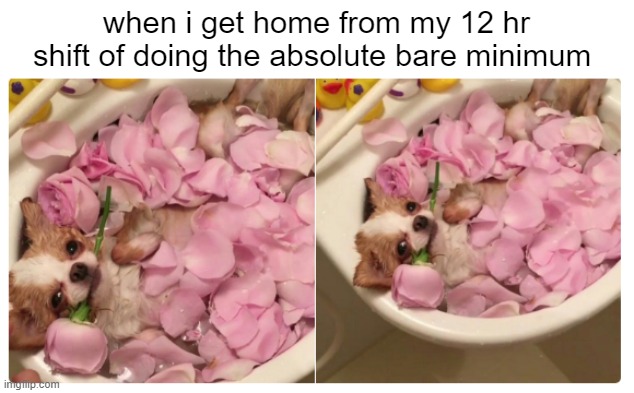 bare minimum | when i get home from my 12 hr shift of doing the absolute bare minimum | image tagged in me doing the bare minimum,memes,uscg,coast guard,work | made w/ Imgflip meme maker