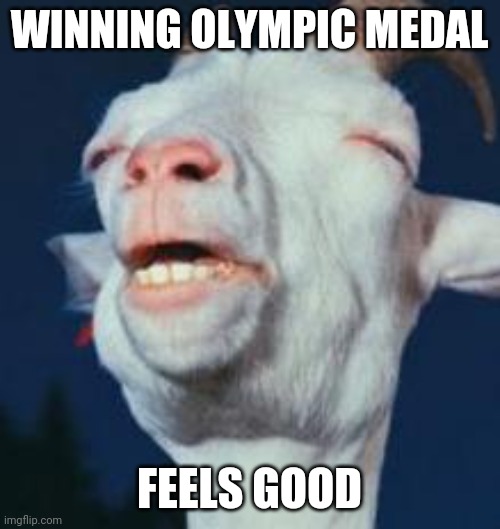 Winning Olympics | WINNING OLYMPIC MEDAL; FEELS GOOD | image tagged in goat | made w/ Imgflip meme maker