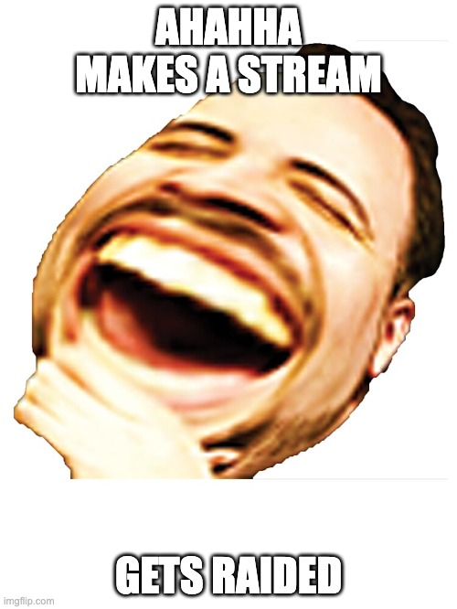 Mega LOL | AHAHHA MAKES A STREAM; GETS RAIDED | image tagged in mega lol | made w/ Imgflip meme maker