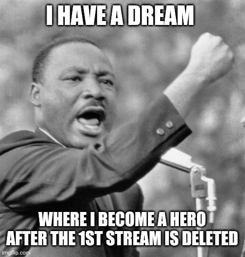 Haha raid go brr | I HAVE A DREAM; WHERE I BECOME A HERO AFTER THE 1ST STREAM IS DELETED | image tagged in i have a dream | made w/ Imgflip meme maker