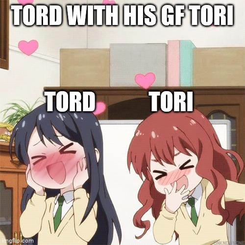 Awwww so sweet I prefer tord x tori | TORD WITH HIS GF TORI; TORD            TORI | image tagged in fangirling | made w/ Imgflip meme maker