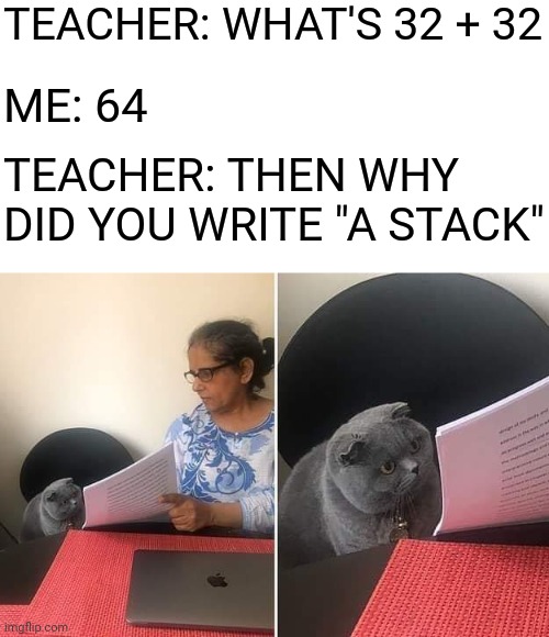 True | TEACHER: WHAT'S 32 + 32; ME: 64; TEACHER: THEN WHY DID YOU WRITE "A STACK" | image tagged in woman showing paper to cat,minecraft | made w/ Imgflip meme maker