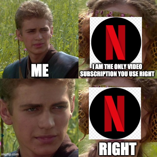 The one with many subscriptions | ME; I AM THE ONLY VIDEO SUBSCRIPTION YOU USE RIGHT; RIGHT | image tagged in anakin padme 4 panel | made w/ Imgflip meme maker