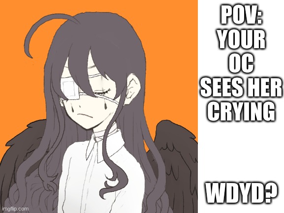 Never rp before so thought I'd try | POV:
YOUR OC SEES HER CRYING; WDYD? | made w/ Imgflip meme maker