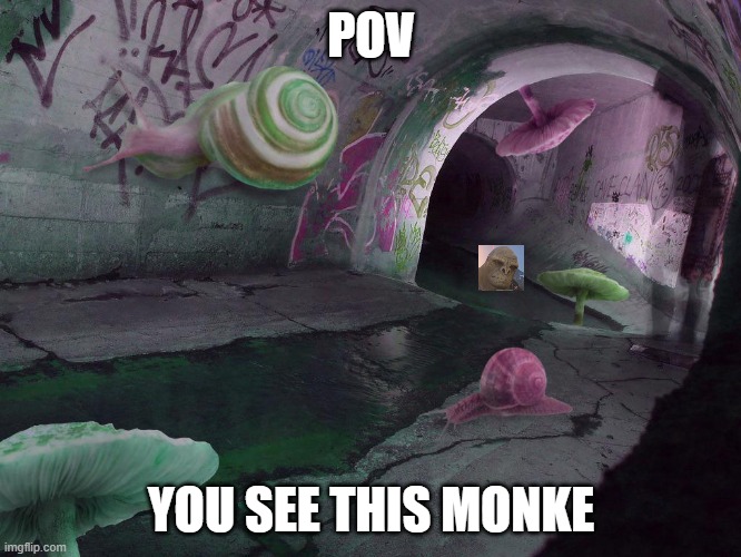 POV; YOU SEE THIS MONKE | made w/ Imgflip meme maker