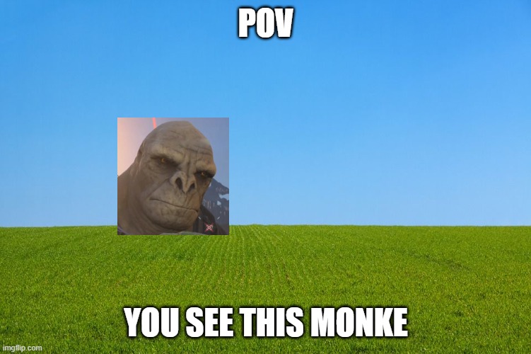 POV; YOU SEE THIS MONKE | made w/ Imgflip meme maker