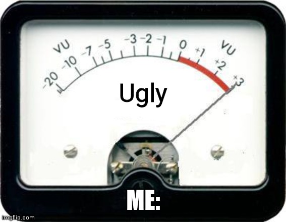 Irony Meter | Ugly; ME: | image tagged in irony meter | made w/ Imgflip meme maker