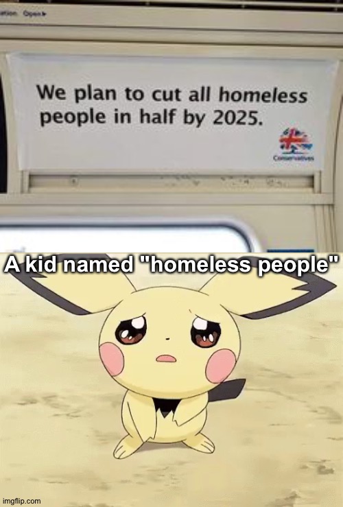 homeless people is gonna spend their last 4 years of living I guess... |  A kid named "homeless people" | image tagged in sad pichu,memes,funny,funny memes,you had one job,wtf | made w/ Imgflip meme maker
