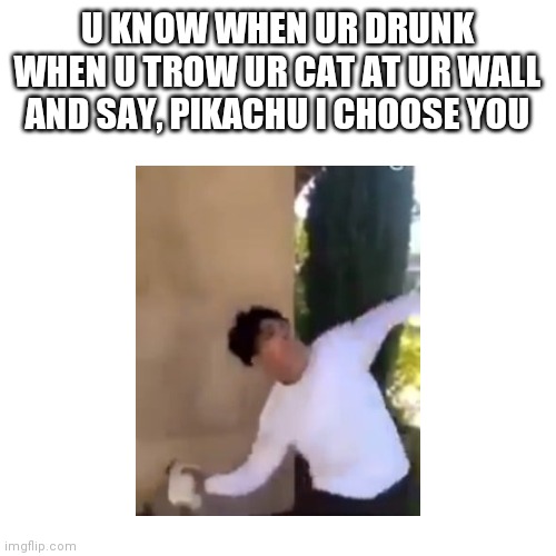 Drunk | U KNOW WHEN UR DRUNK WHEN U TROW UR CAT AT UR WALL AND SAY, PIKACHU I CHOOSE YOU | image tagged in cats,memes,funny | made w/ Imgflip meme maker