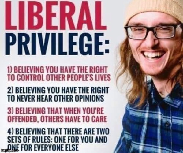 Liberals | image tagged in liberals,liberal logic,liberal hypocrisy,democrats,memes,political meme | made w/ Imgflip meme maker