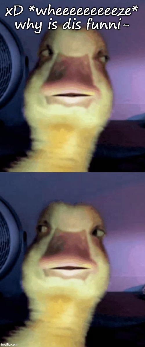 xD *wheeeeeeeeeze* why is dis funni- | made w/ Imgflip meme maker