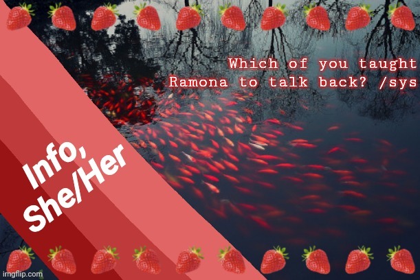 Which of you taught Ramona to talk back? /sys | image tagged in info | made w/ Imgflip meme maker