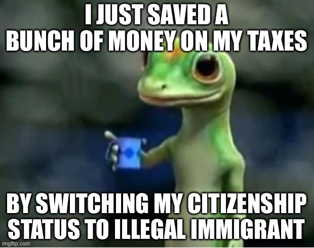 lol XD | I JUST SAVED A BUNCH OF MONEY ON MY TAXES; BY SWITCHING MY CITIZENSHIP STATUS TO ILLEGAL IMMIGRANT | image tagged in geico gecko | made w/ Imgflip meme maker