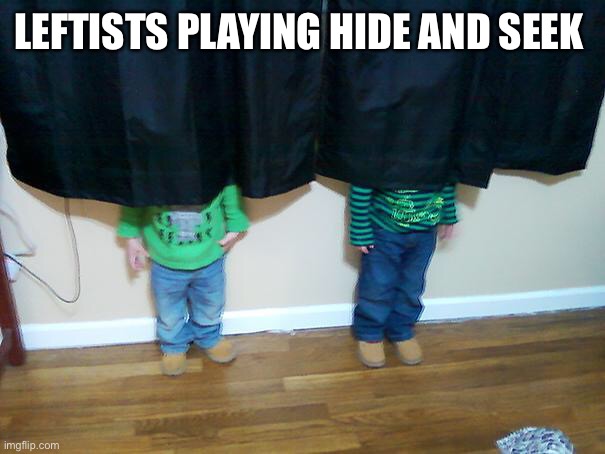 hide and seek | LEFTISTS PLAYING HIDE AND SEEK | image tagged in hide and seek | made w/ Imgflip meme maker