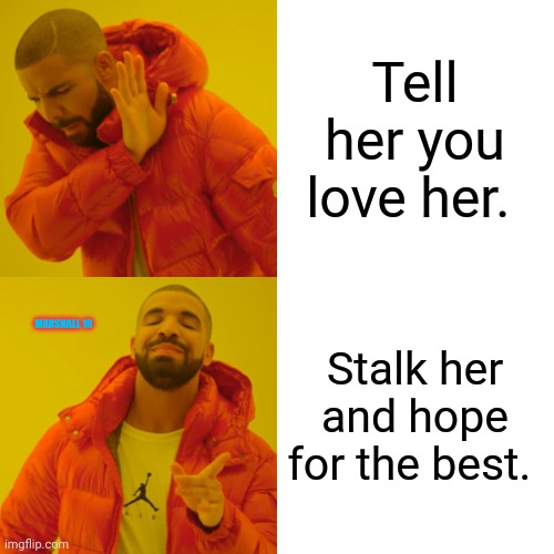 Can't force love | Tell her you love her. Stalk her and hope for the best. MARSHALL 19 | image tagged in memes,drake hotline bling | made w/ Imgflip meme maker