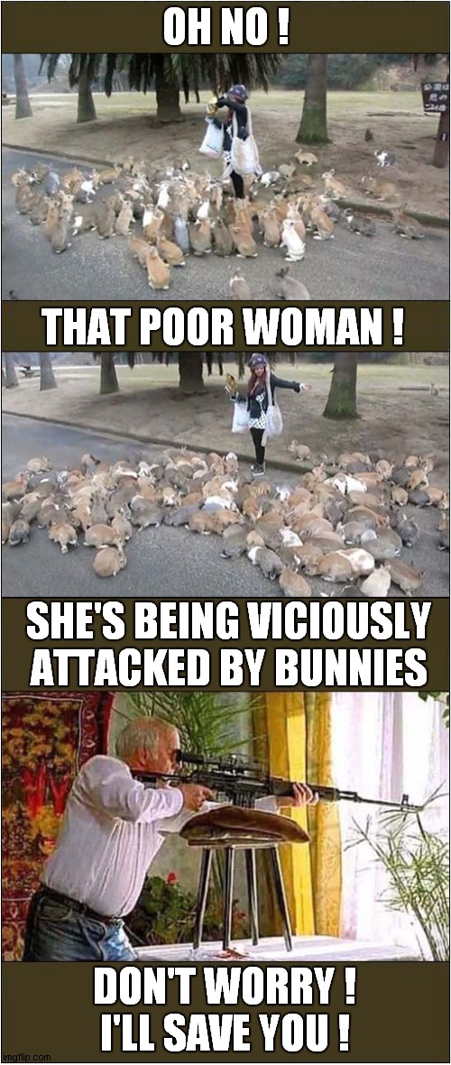 Overkill - Attacked By Rabbits | OH NO ! THAT POOR WOMAN ! SHE'S BEING VICIOUSLY ATTACKED BY BUNNIES; DON'T WORRY !
I'LL SAVE YOU ! | image tagged in rabbits,animal attack,sniper,dark humour | made w/ Imgflip meme maker