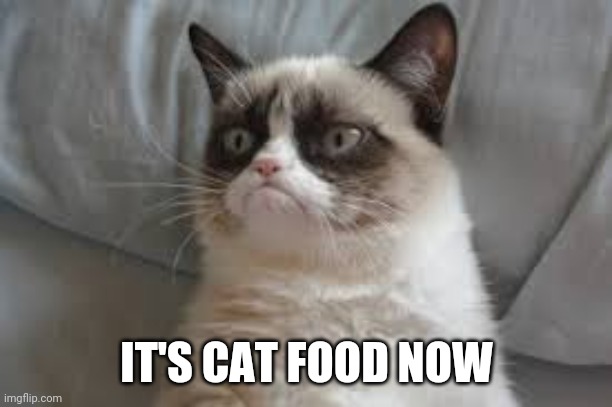 Grumpy cat | IT'S CAT FOOD NOW | image tagged in grumpy cat | made w/ Imgflip meme maker