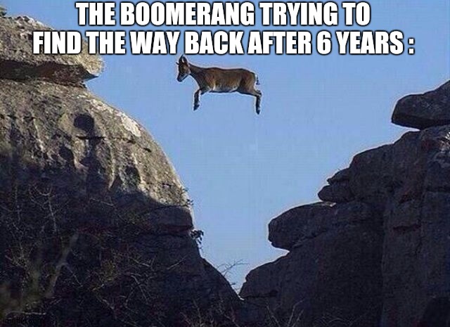 Whatever floats your goat | THE BOOMERANG TRYING TO FIND THE WAY BACK AFTER 6 YEARS : | image tagged in whatever floats your goat | made w/ Imgflip meme maker