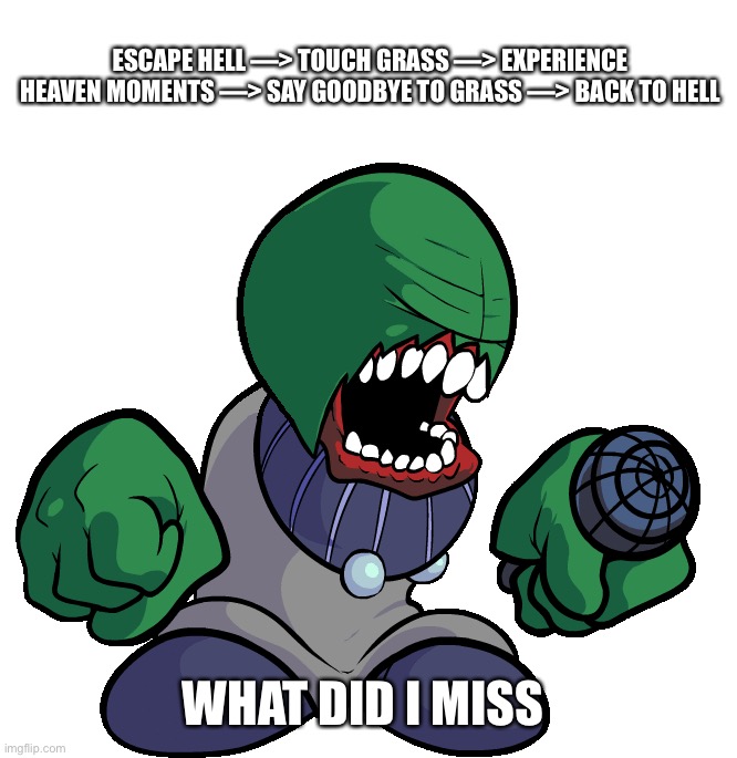 So everyone hates me now? Cool | ESCAPE HELL —> TOUCH GRASS —> EXPERIENCE HEAVEN MOMENTS —> SAY GOODBYE TO GRASS —> BACK TO HELL; WHAT DID I MISS | image tagged in bald tricky | made w/ Imgflip meme maker