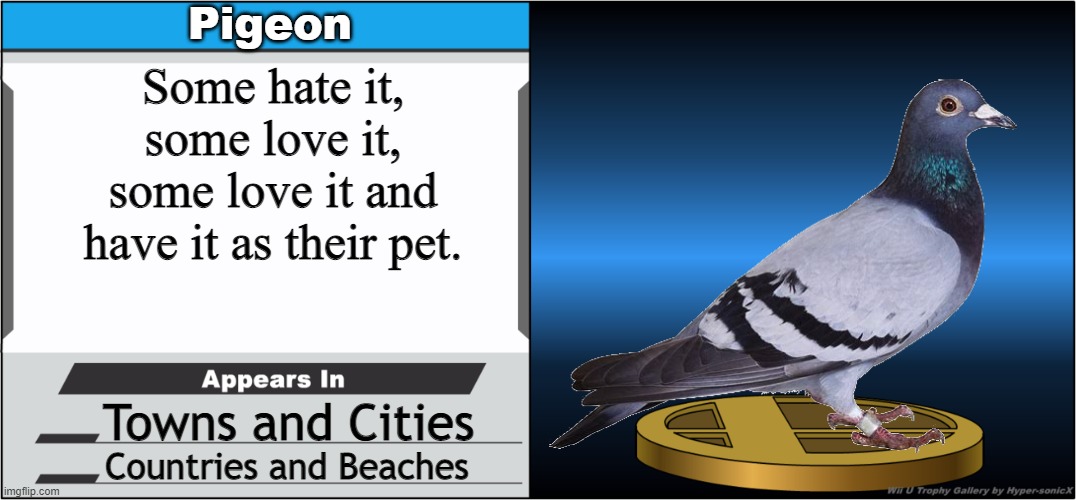 PIGEONNNNN | Pigeon; Some hate it,
some love it,
some love it and have it as their pet. Towns and Cities; Countries and Beaches | image tagged in smash bros trophy,pigeon | made w/ Imgflip meme maker