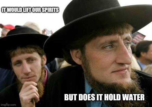 IT WOULD LIFT OUR SPIRITS BUT DOES IT HOLD WATER | made w/ Imgflip meme maker