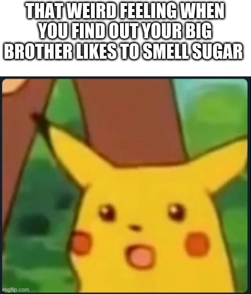 jk i dont have a big brother. wanna know why? because I AM THE BIG BROTHER |  THAT WEIRD FEELING WHEN YOU FIND OUT YOUR BIG BROTHER LIKES TO SMELL SUGAR | image tagged in surprised pikachu | made w/ Imgflip meme maker