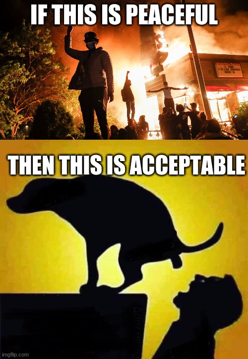 IF THIS IS PEACEFUL; THEN THIS IS ACCEPTABLE | image tagged in blm riots,dog pooping in mouth | made w/ Imgflip meme maker