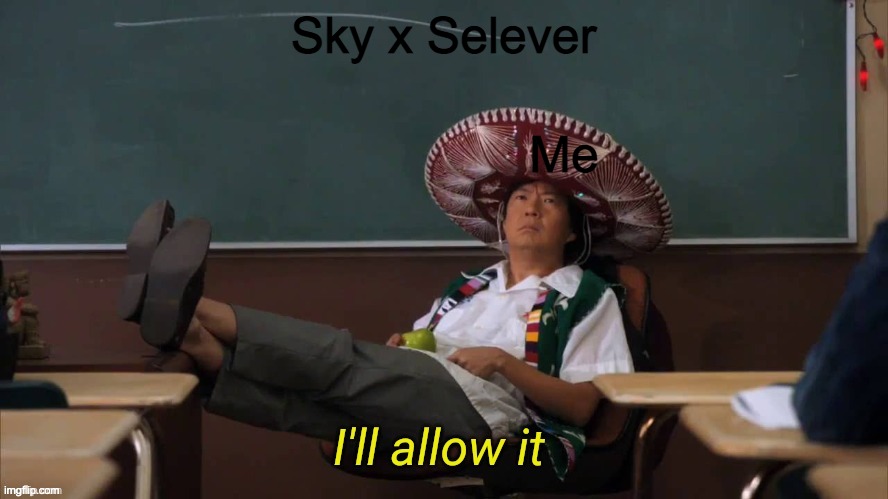 I'll allow it | Sky x Selever Me | image tagged in i'll allow it | made w/ Imgflip meme maker