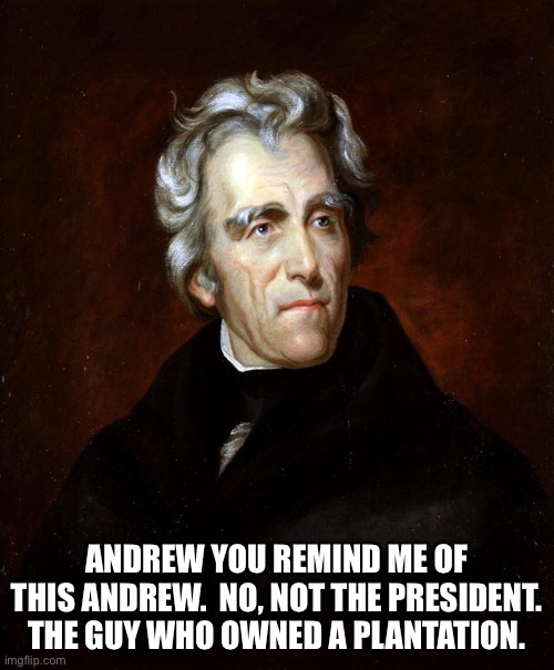 Andrew Jackson | ANDREW YOU REMIND ME OF THIS ANDREW.  NO, NOT THE PRESIDENT. THE GUY WHO OWNED A PLANTATION. | image tagged in andrew jackson | made w/ Imgflip meme maker