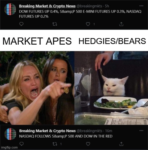 stonks | MARKET APES; HEDGIES/BEARS | image tagged in memes,woman yelling at cat | made w/ Imgflip meme maker