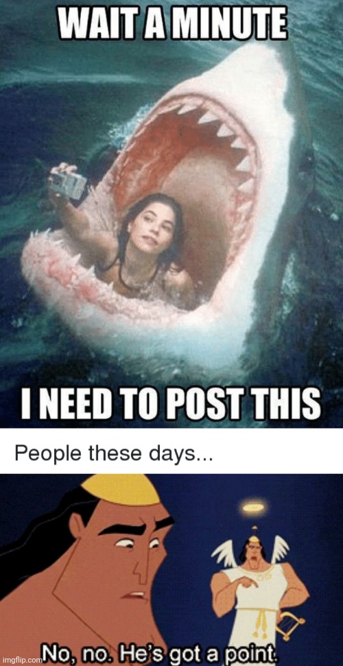 Lol this is us now | image tagged in no no he s got a point,funny,post,shark attack,social media | made w/ Imgflip meme maker