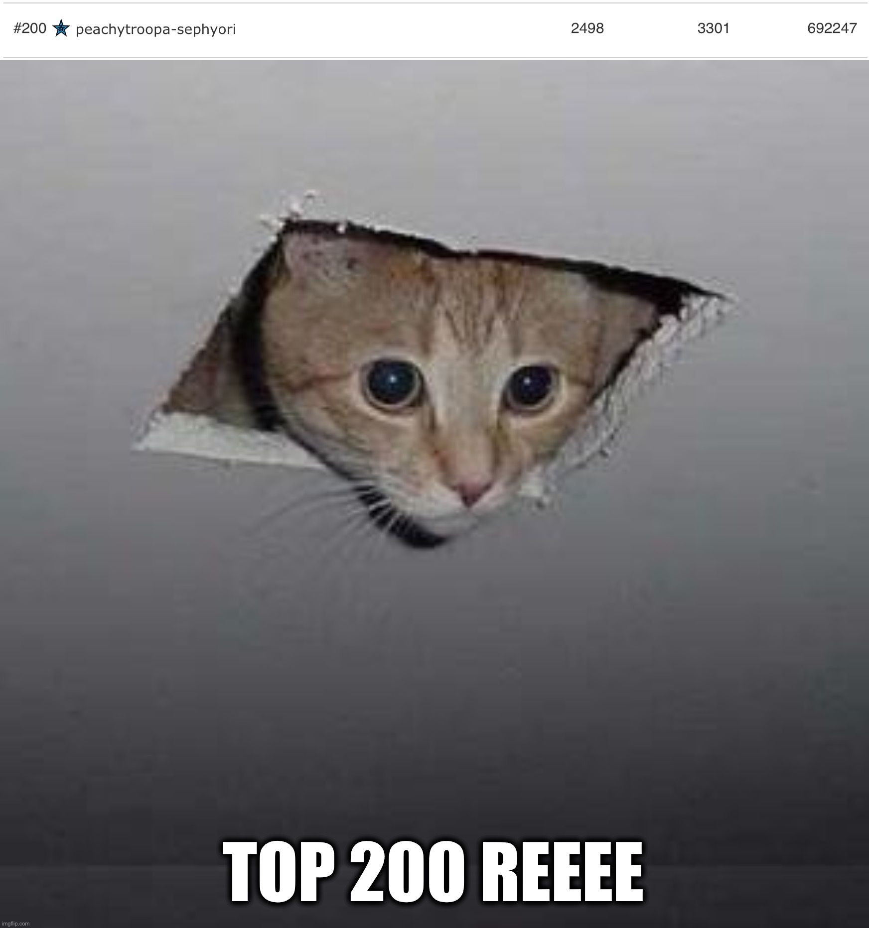 TOP 200 REEEE | image tagged in memes,ceiling cat | made w/ Imgflip meme maker