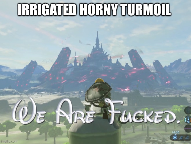 We are fcked | IRRIGATED HORNY TURMOIL | image tagged in we are fcked | made w/ Imgflip meme maker