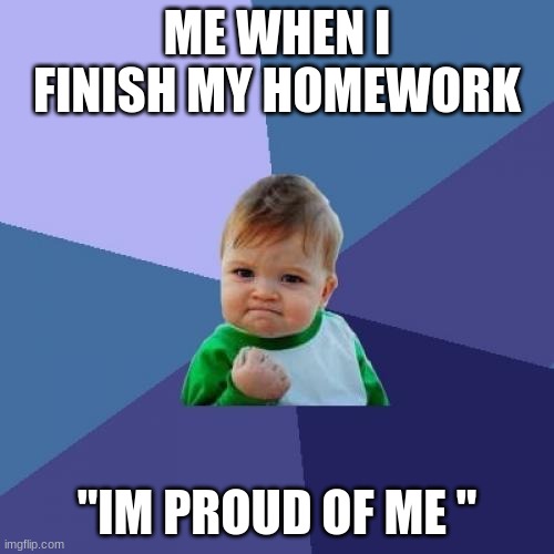 Success Kid Meme | ME WHEN I FINISH MY HOMEWORK; "IM PROUD OF ME " | image tagged in memes,success kid | made w/ Imgflip meme maker