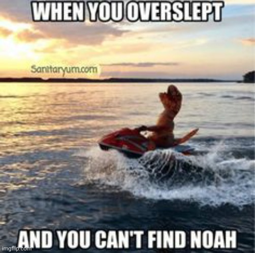 Lol | image tagged in flood,funny | made w/ Imgflip meme maker