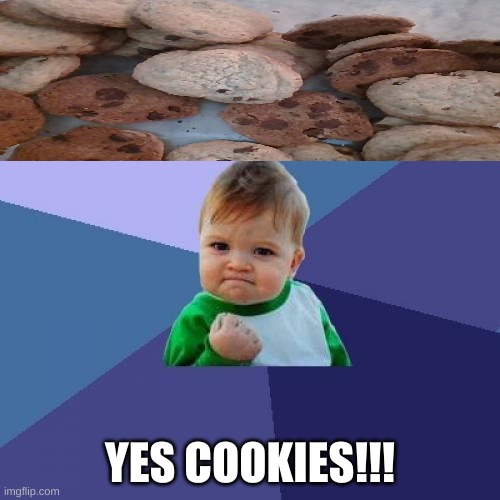 Success Kid Meme | YES COOKIES!!! | image tagged in memes,success kid | made w/ Imgflip meme maker