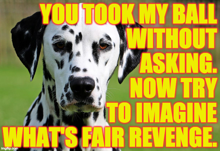 An eye for an eye, mate. | YOU TOOK MY BALL
WITHOUT
ASKING.
NOW TRY
TO IMAGINE
WHAT'S FAIR REVENGE. | image tagged in memes,revenge,an eye for an eye | made w/ Imgflip meme maker