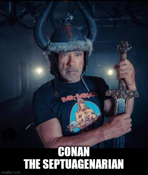 Conan the Septuagenarian | CONAN
THE SEPTUAGENARIAN | image tagged in conan the barbarian,arnold schwarzenegger,old people,funny memes,movies,80s | made w/ Imgflip meme maker