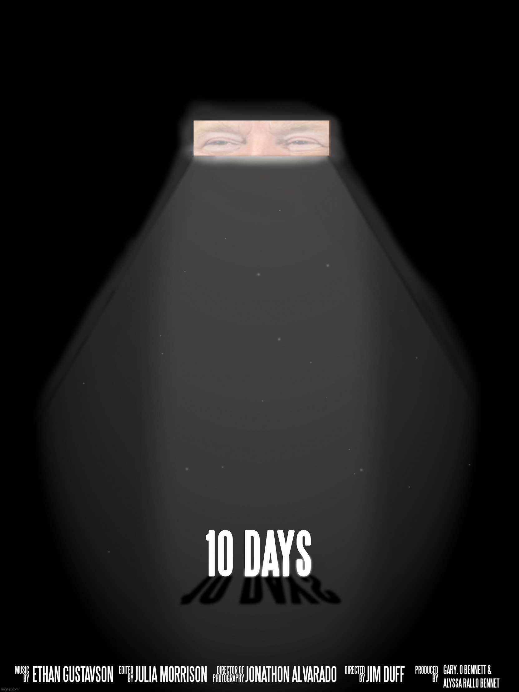 10 days, America. | image tagged in 10 days film,10 days,trump,trump inauguration,mike lindell,conspiracy theory | made w/ Imgflip meme maker