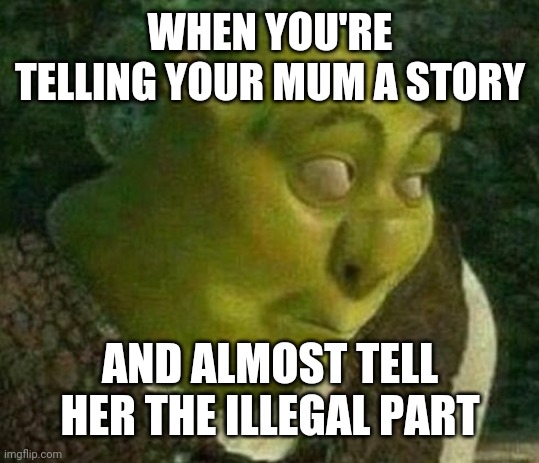 Nearly snitched on myself there | WHEN YOU'RE TELLING YOUR MUM A STORY; AND ALMOST TELL HER THE ILLEGAL PART | image tagged in oops shrek,meme,illegal | made w/ Imgflip meme maker