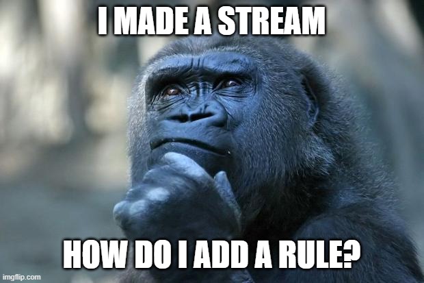 Deep Thoughts | I MADE A STREAM; HOW DO I ADD A RULE? | image tagged in deep thoughts | made w/ Imgflip meme maker