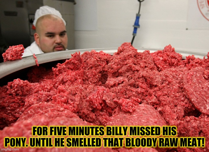 Dinner time! | FOR FIVE MINUTES BILLY MISSED HIS PONY. UNTIL HE SMELLED THAT BLOODY RAW MEAT! | image tagged in pony,hamburger,raw meat,butcher | made w/ Imgflip meme maker